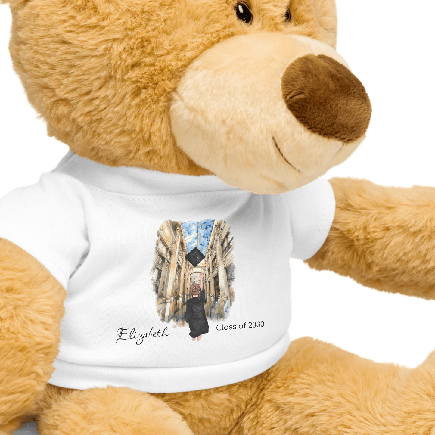 Personalized Graduation Girl – Teddy Bear with T-Shirt | Nickels Arcade