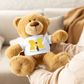 Personalized University of Michigan Graduation Girl – Teddy Bear with T-Shirt