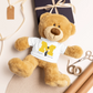 Personalized University of Michigan Graduation Girl – Teddy Bear with T-Shirt